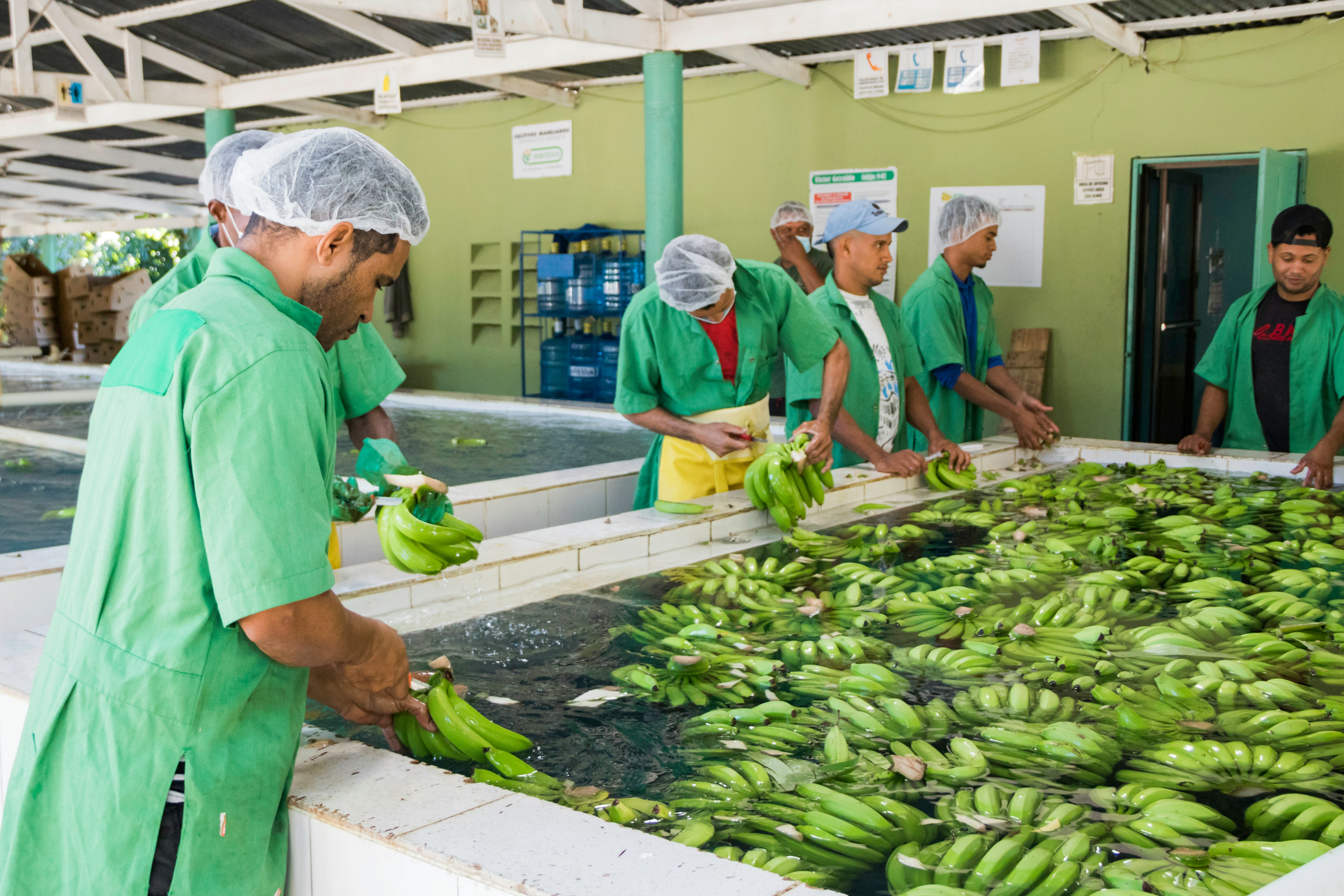 Food Production